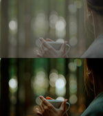 Load image into Gallery viewer, JHL ColorPro LUTs