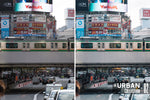 Load image into Gallery viewer, The Master Collection
