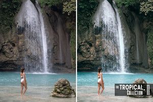 The Tropical Collection