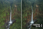 Load image into Gallery viewer, The Exotic Collection
