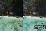 Load image into Gallery viewer, The Tropical Collection
