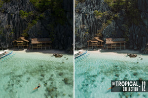 The Tropical Collection