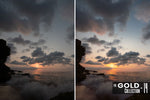 Load image into Gallery viewer, The Master Collection
