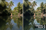 Load image into Gallery viewer, The Exotic Collection
