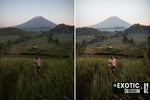 Load image into Gallery viewer, The Exotic Collection
