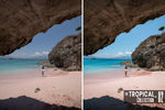Load image into Gallery viewer, The Tropical Collection
