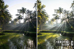 Load image into Gallery viewer, The Exotic Collection
