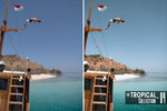 Load image into Gallery viewer, The Tropical Collection
