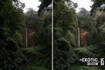 Load image into Gallery viewer, The Exotic Collection

