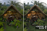 Load image into Gallery viewer, The Exotic Collection
