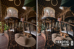 Load image into Gallery viewer, The Exotic Collection
