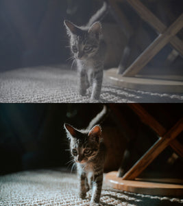 JHL ColorPro LUTs